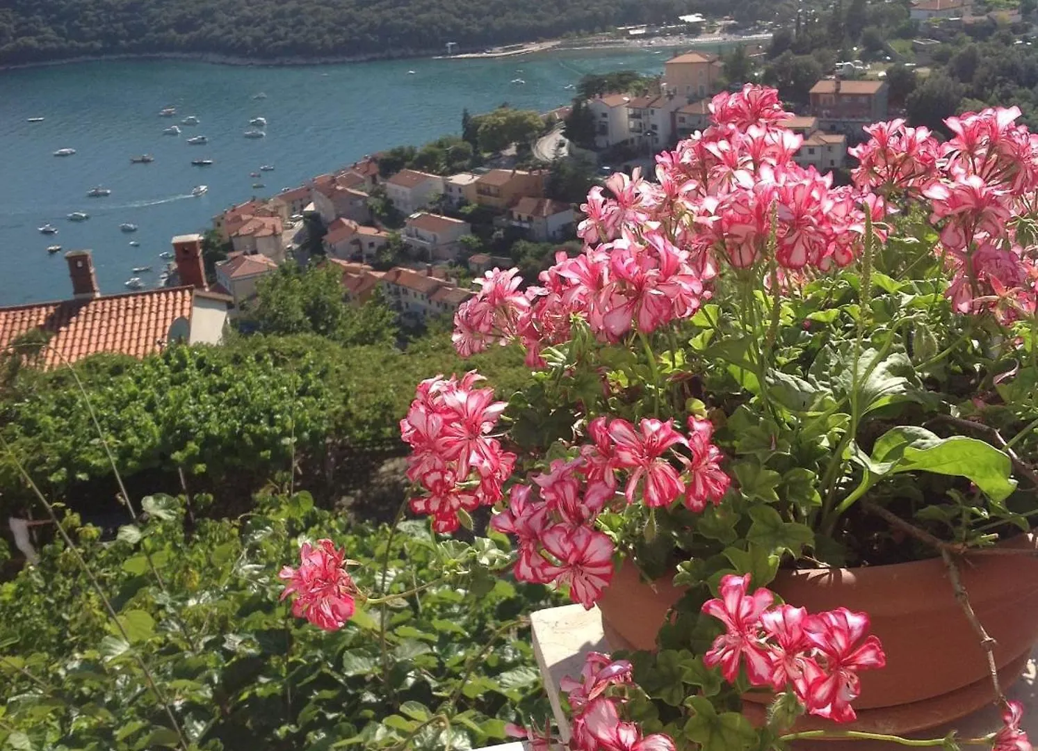 Apartments Alma Rabac Chorvatsko